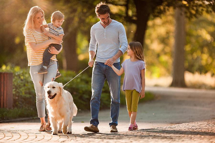 Happy family talking while walking with a dog in spring day. Photograph by Skynesher