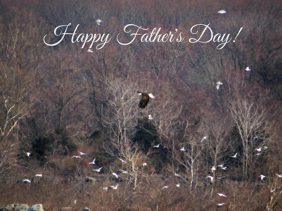 Happy Fathers Day - In Flight Photograph by Dark Whimsy