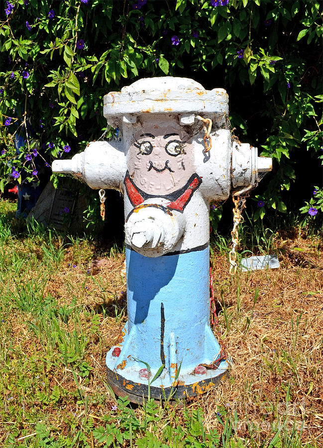 Fire Department Photograph - Happy Fire Hydrant by Jim Fitzpatrick