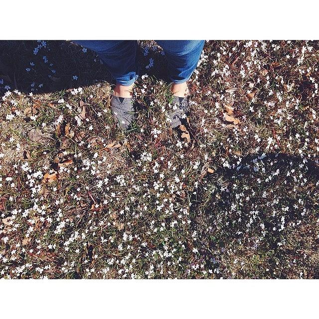 Vsco Photograph - Happy First Day Of Spring! #vsco by Kristin Coleman