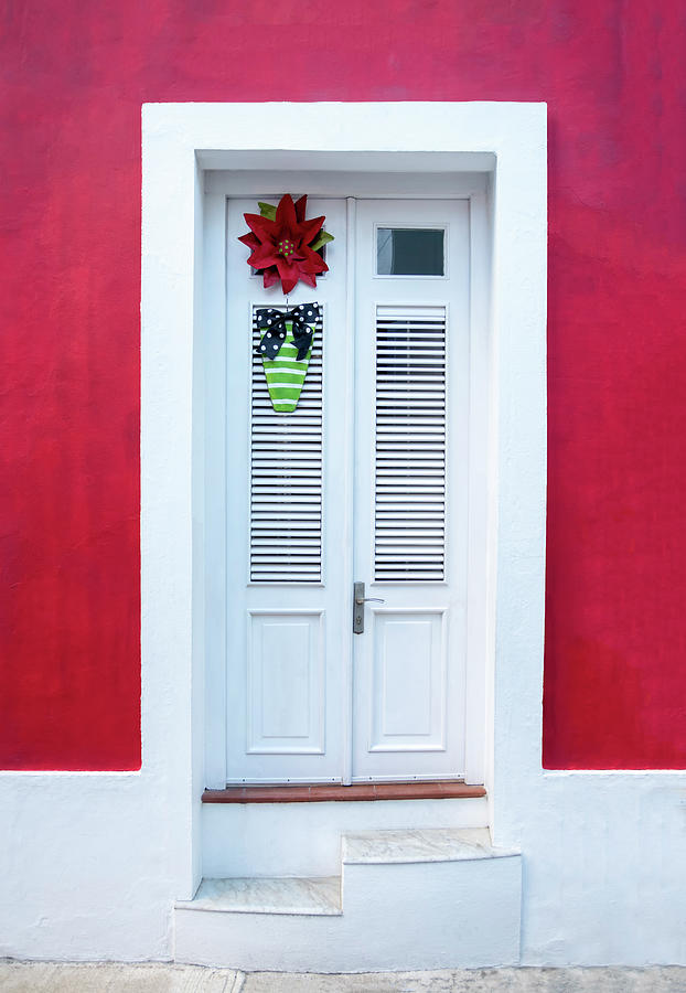 Happy Flower Door Photograph by Carlosvoss