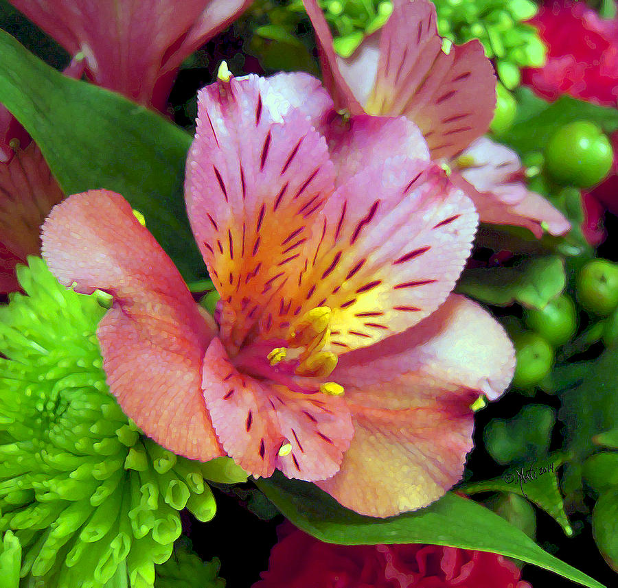Happy Freesia Holiday Bouquet Photograph