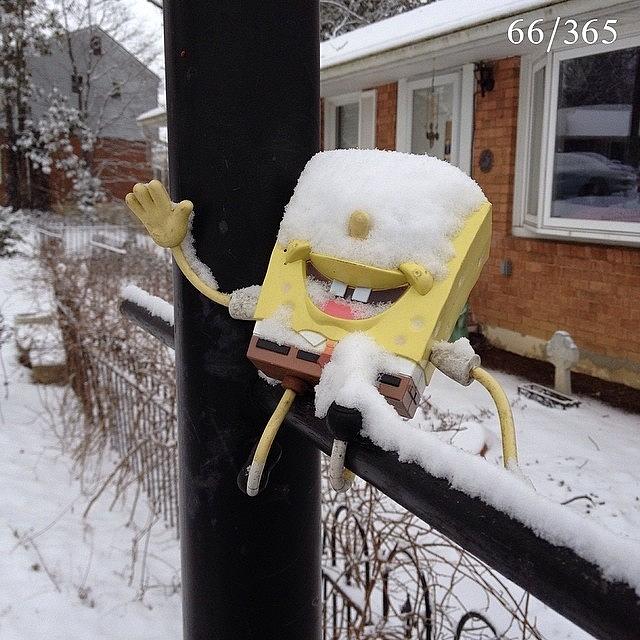 Weather Photograph - Happy Friday From Spongebob!  More Snow by Teresa Mucha