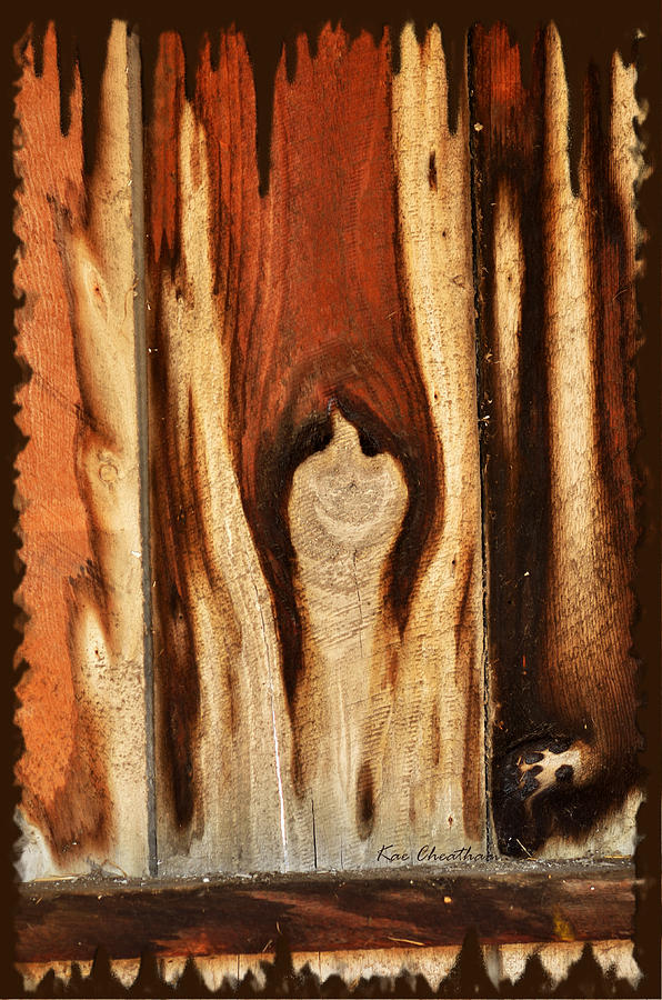 Happy Ghost in Wood Photograph by Kae Cheatham