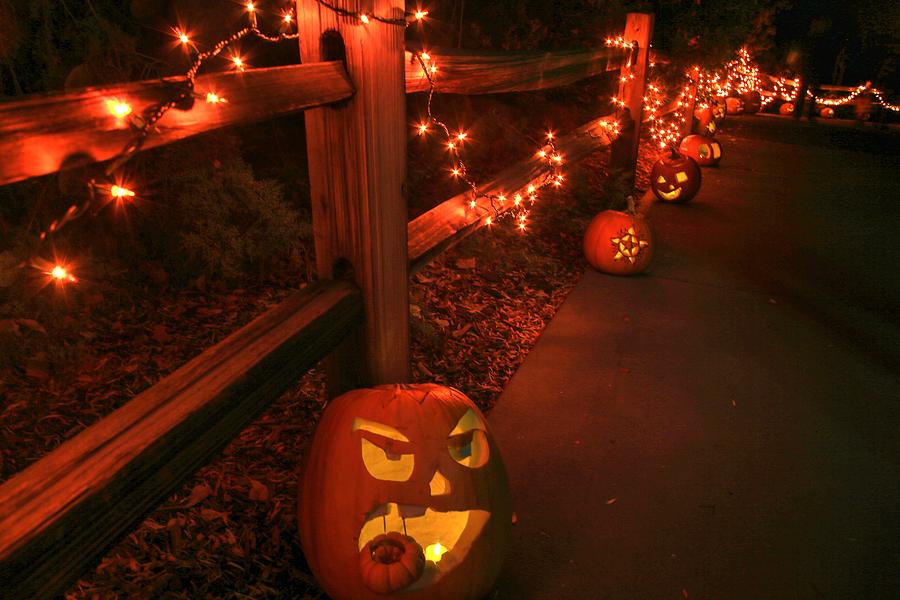 Pumpkin Photograph - Happy Halloween by Donna Kennedy