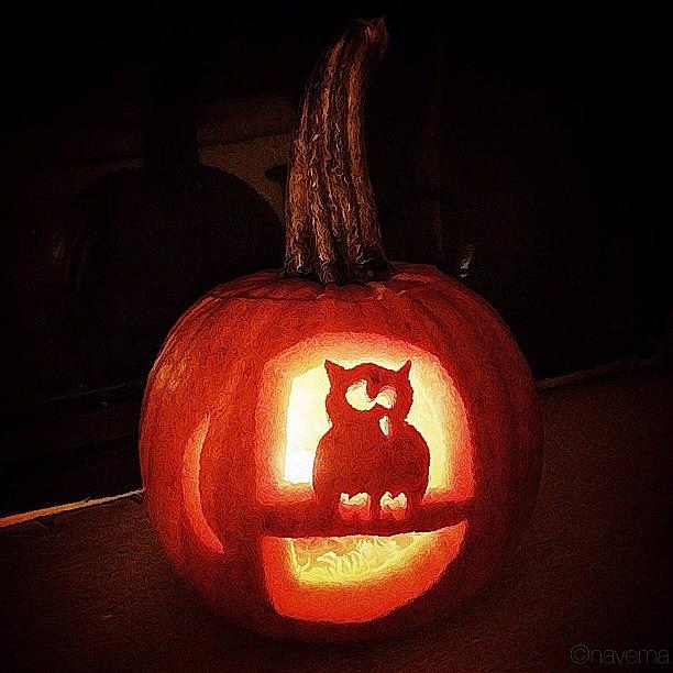 Owl Photograph - Happy Halloween! by Natasha Marco