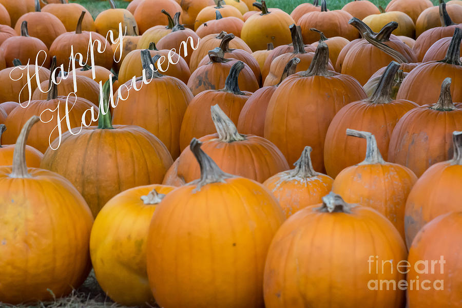 Happy Halloween Pumpkin Patch Photograph by John Greco