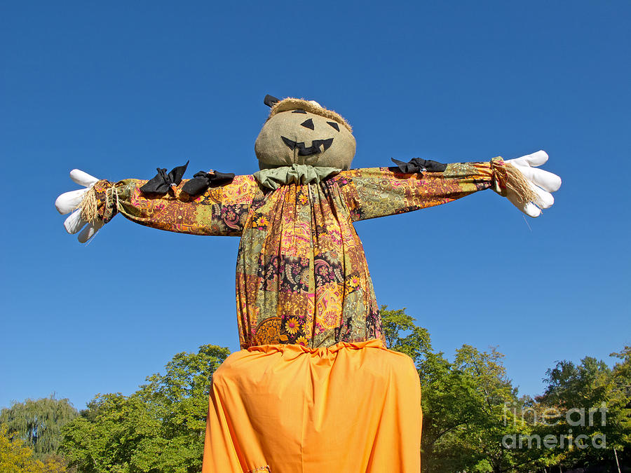 Happy Halloween Scarecrow Photograph
