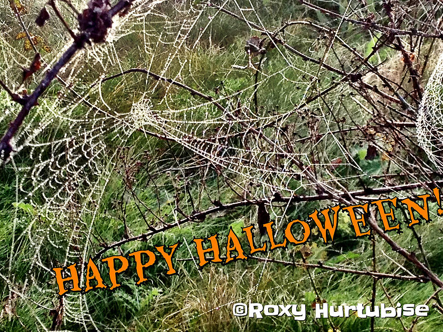 Happy Halloween Web Photograph by Roxy Hurtubise