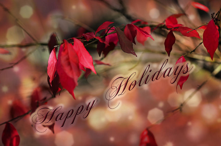 Happy Hoildays Greeting Card - Winged Euonymus Red Foliage Photograph by Carol Senske