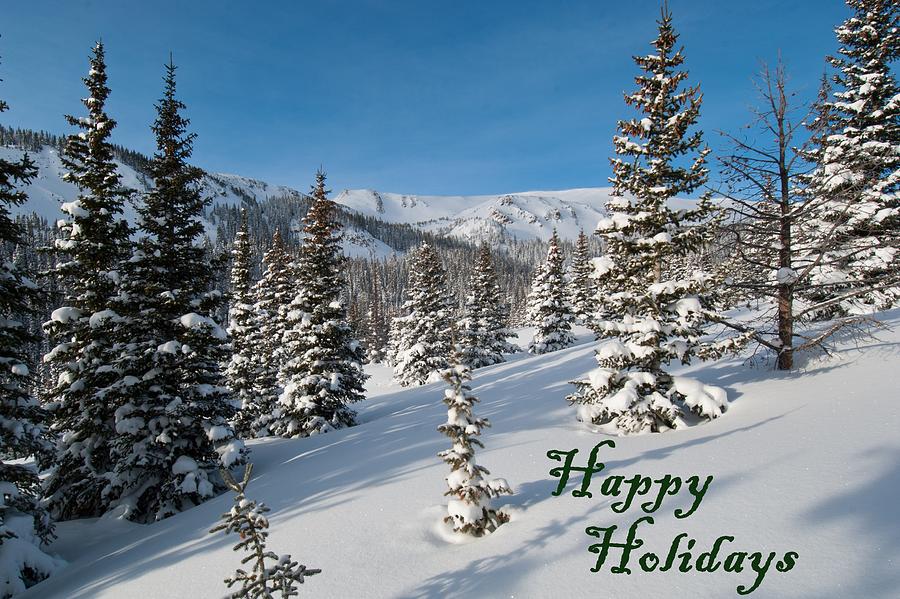 Happy Holidays - Winter Wonderland Photograph by Cascade Colors