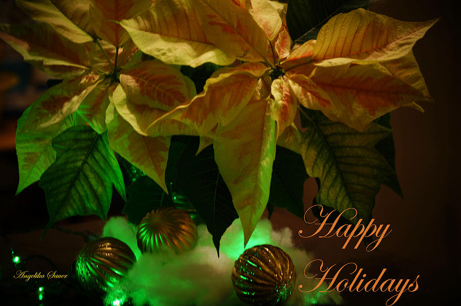 Happy Holidays Photograph by Angelika Sauer - Fine Art America