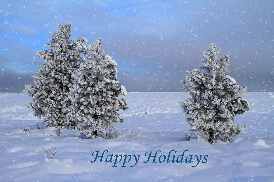 Happy Holidays Photograph by Donna Kennedy