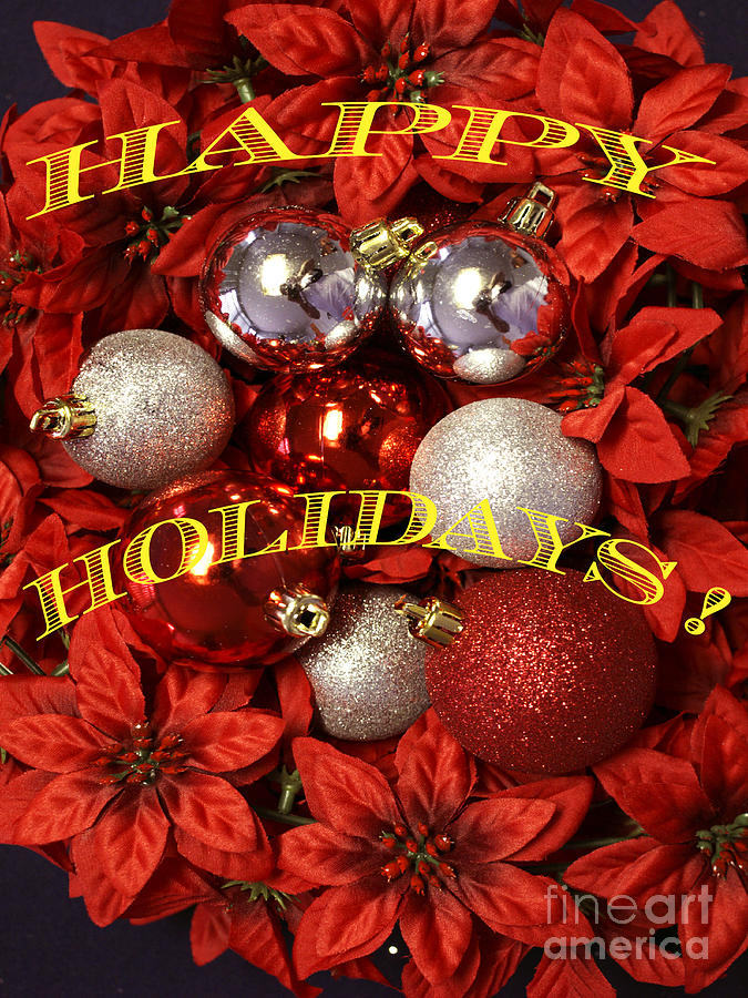 Happy holidays Photograph by Gary Brandes