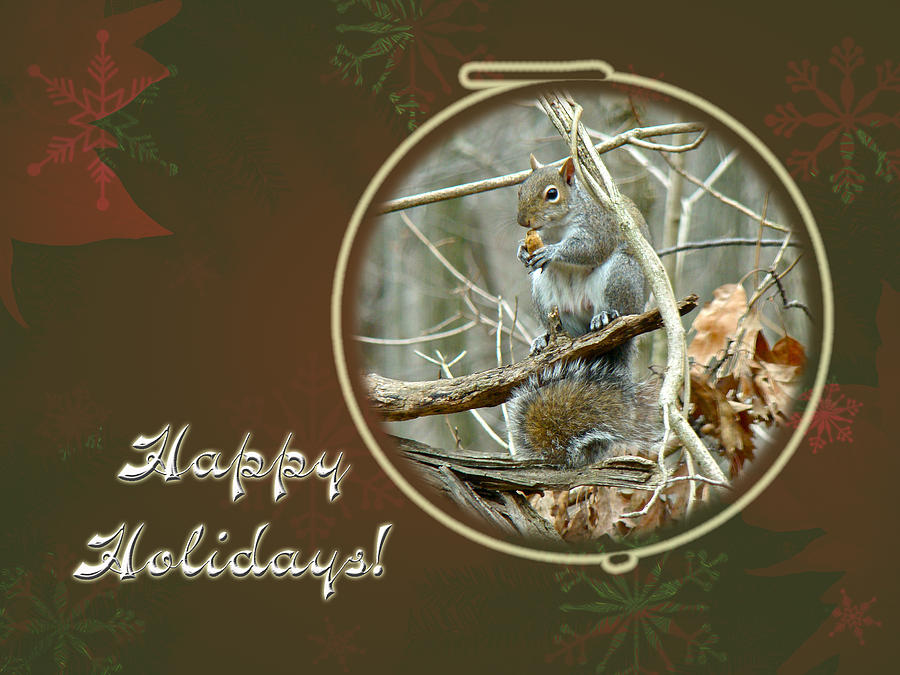 Happy Holidays Greeting Card - Gray Squirrel Photograph by Carol Senske