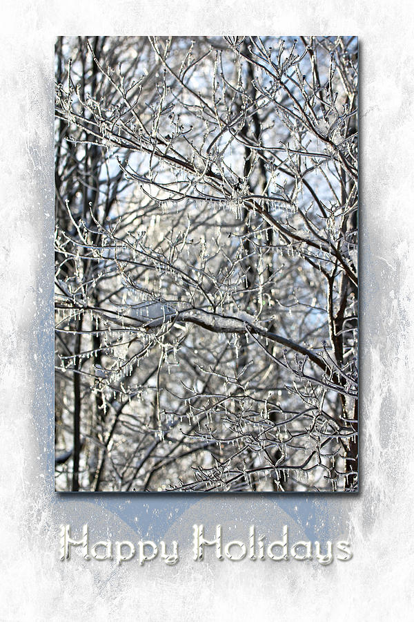 Happy Holidays Greeting - Icicles On Trees Photograph by Carol Senske