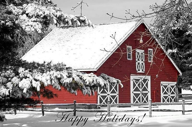 Happy Holidays Photograph by Living Color Photography Lorraine Lynch