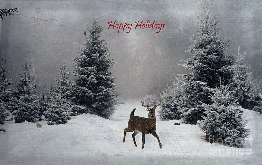 Christmas Digital Art - Happy Holidays - On a Snowy Evening  by Lianne Schneider
