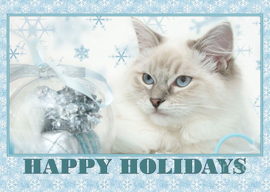 Christmas Digital Art - Happy Holidays Precious Kitty by JH Designs
