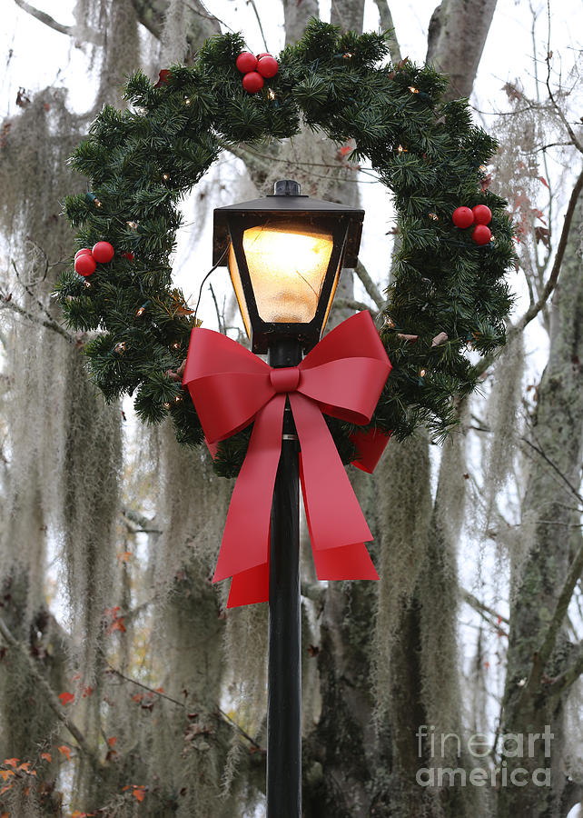 Happy Holidays Southern Style Photograph by Carol Groenen
