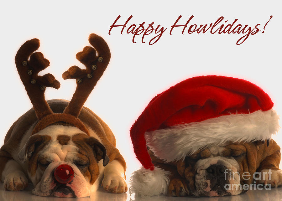 Christmas Digital Art - Happy Howlidays by JH Designs