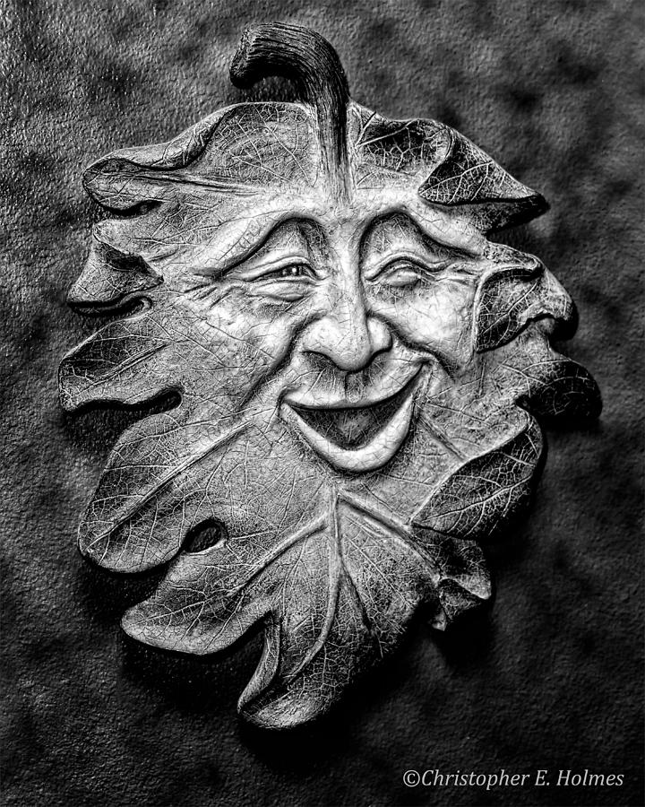 Happy Leaf - BW Photograph by Christopher Holmes