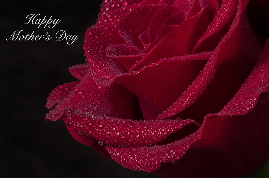 Rose Photograph - Happy Mothers Day by Garvin Hunter