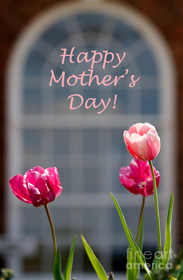 Happy Mothers Day Historical Home With Pink Tulips Photograph