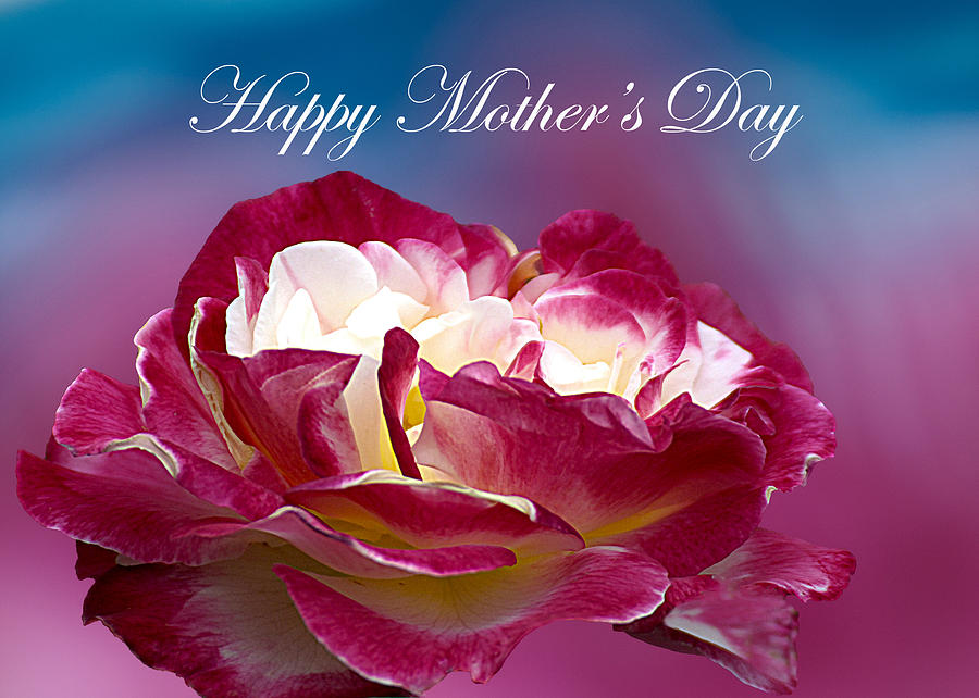 happy mothers day pink roses