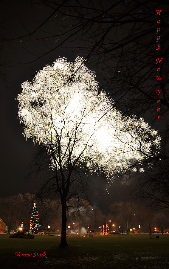 Happy New Year 2 Photograph by Verana Stark