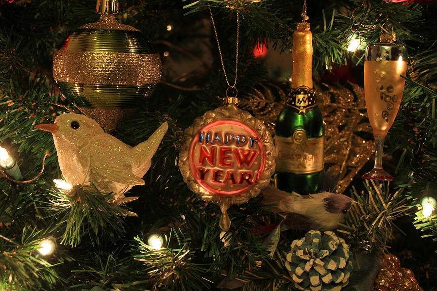 Holiday Photograph - Happy New Year  by Donna Kennedy