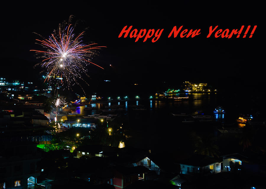 Landscape Photograph - Happy New Year Greeting Card - Fireworks Display by Colin Utz