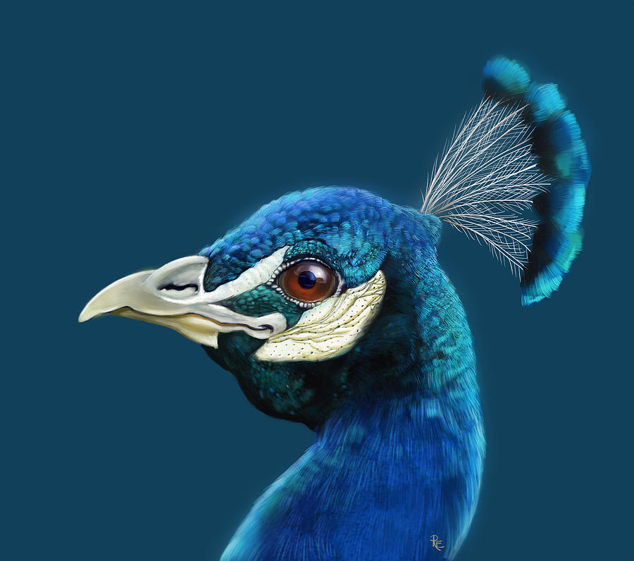 Happy Peacock Painting by Arie Van der Wijst