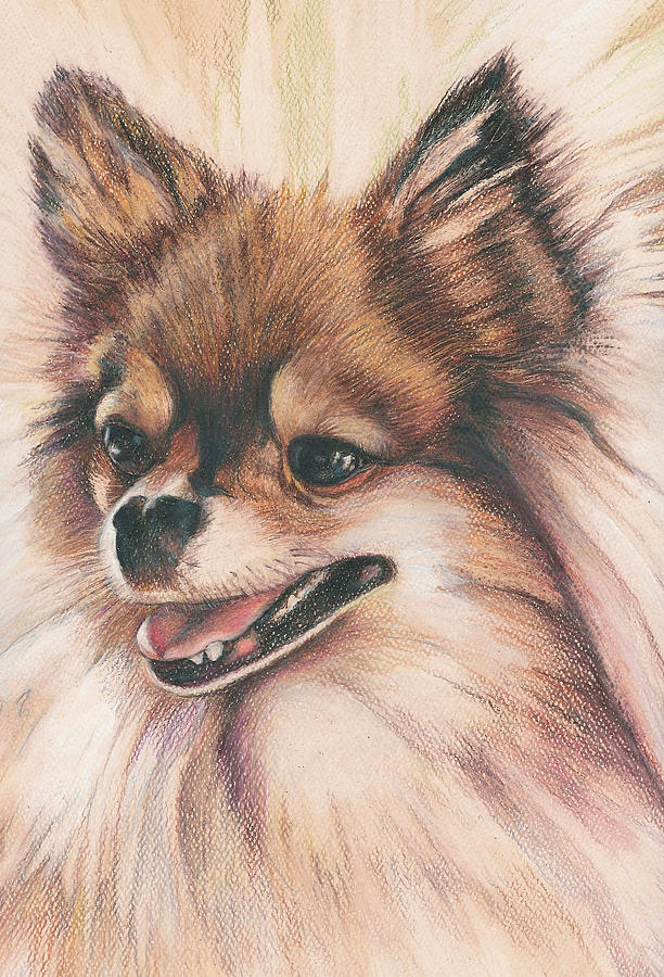 Animal Painting - Happy by Phyllis Dunn