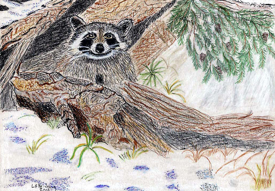 Happy Raccoon Painting by Linda Feinberg