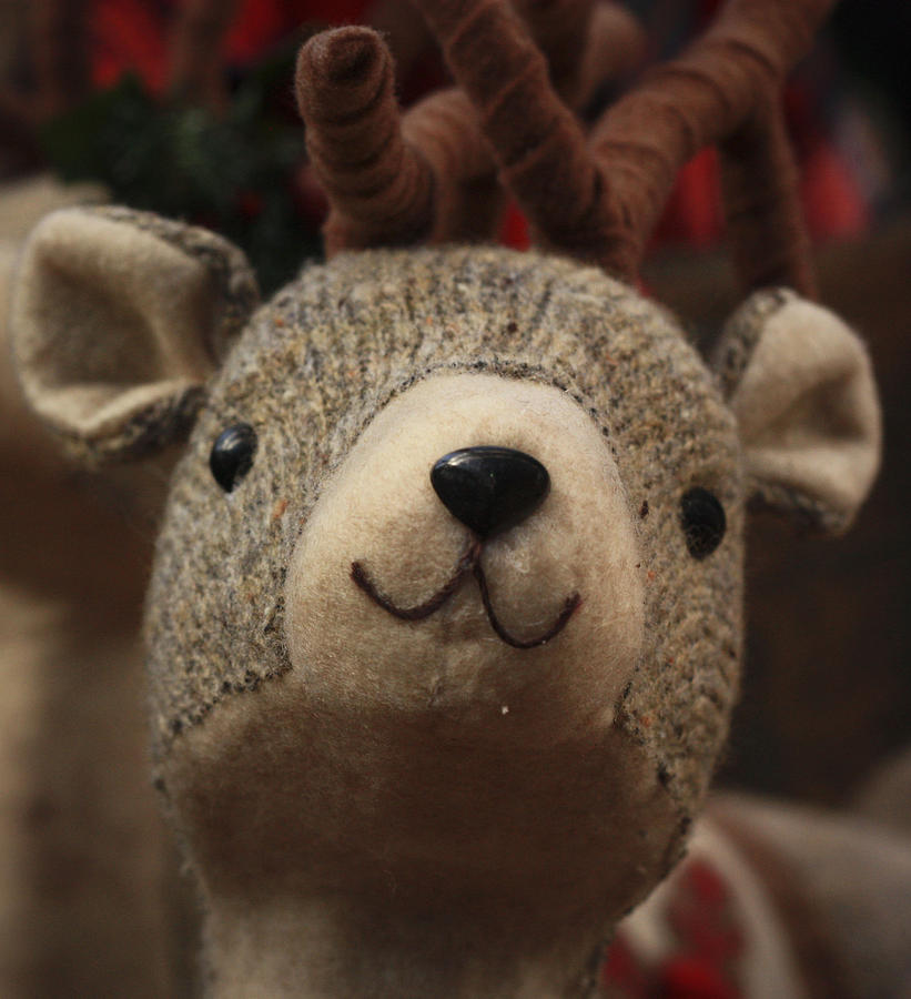 Happy Reindeer Photograph by Patrice Zinck