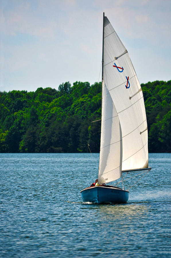 Happy Sailing Photograph by Sandi OReilly