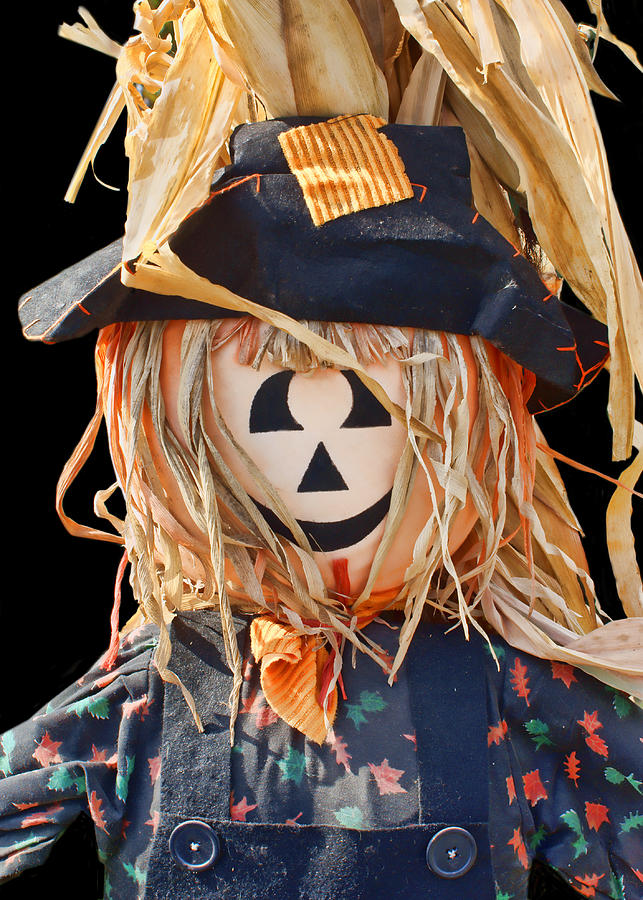 Halloween Photograph - Happy Scarecrow by Nikolyn McDonald