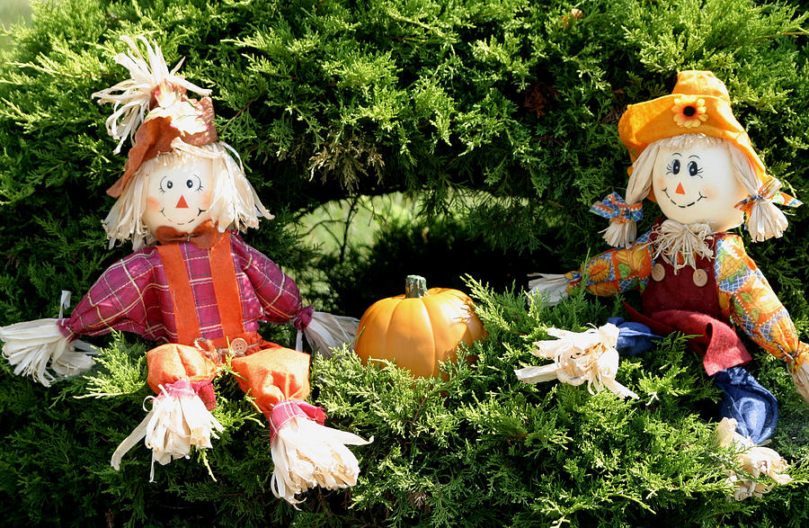 Happy Scarecrows Photograph by Living Color Photography Lorraine Lynch