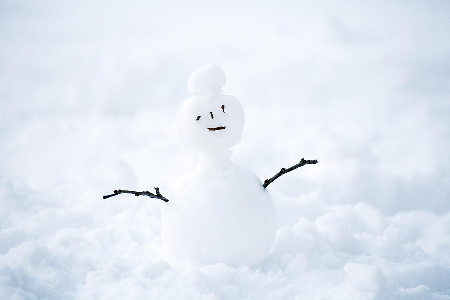 Mini Snowman (7/365), Here's a snowman made from the snow t…