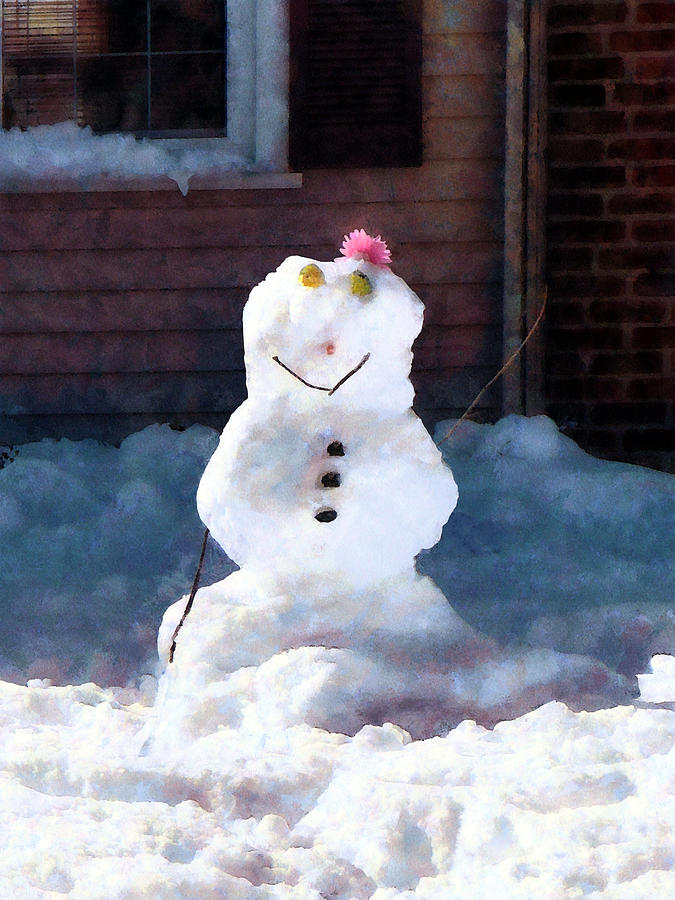 Happy Snowman Photograph by Susan Savad
