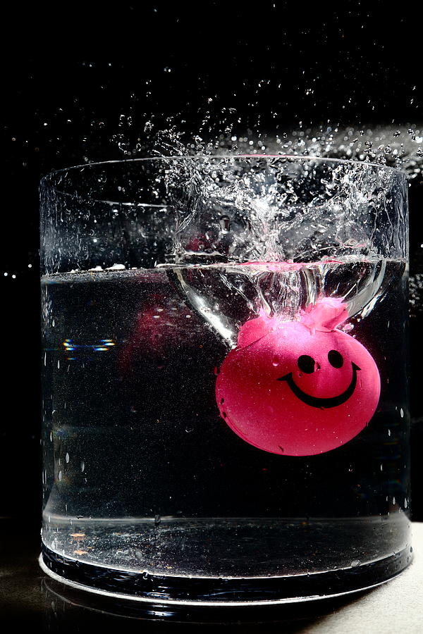 Happy Splash the Second Photograph by David Andersen