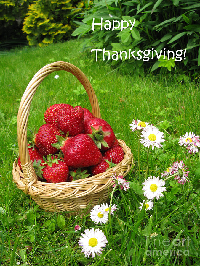 Strawberry Photograph - Happy Thanksgiving Card by Ausra Huntington nee Paulauskaite