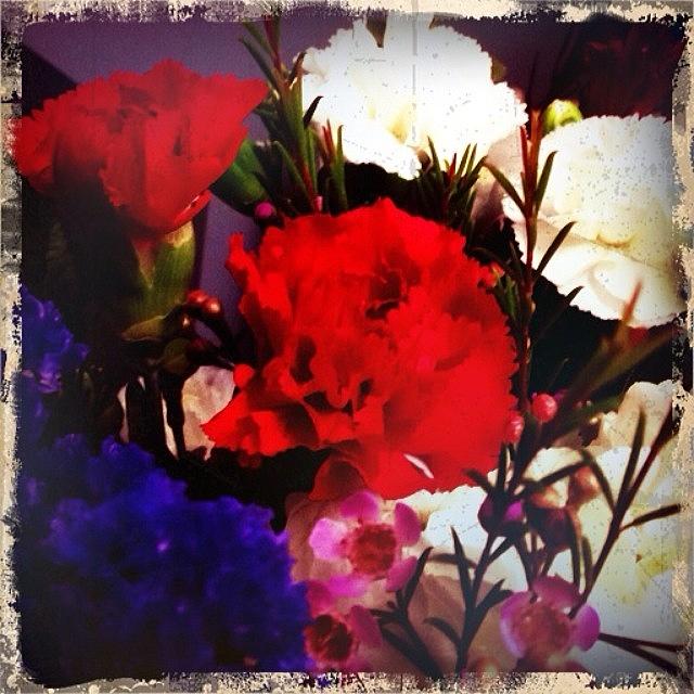 Flower Photograph - Happy Valentines Day! #flowers by Greta Olivas