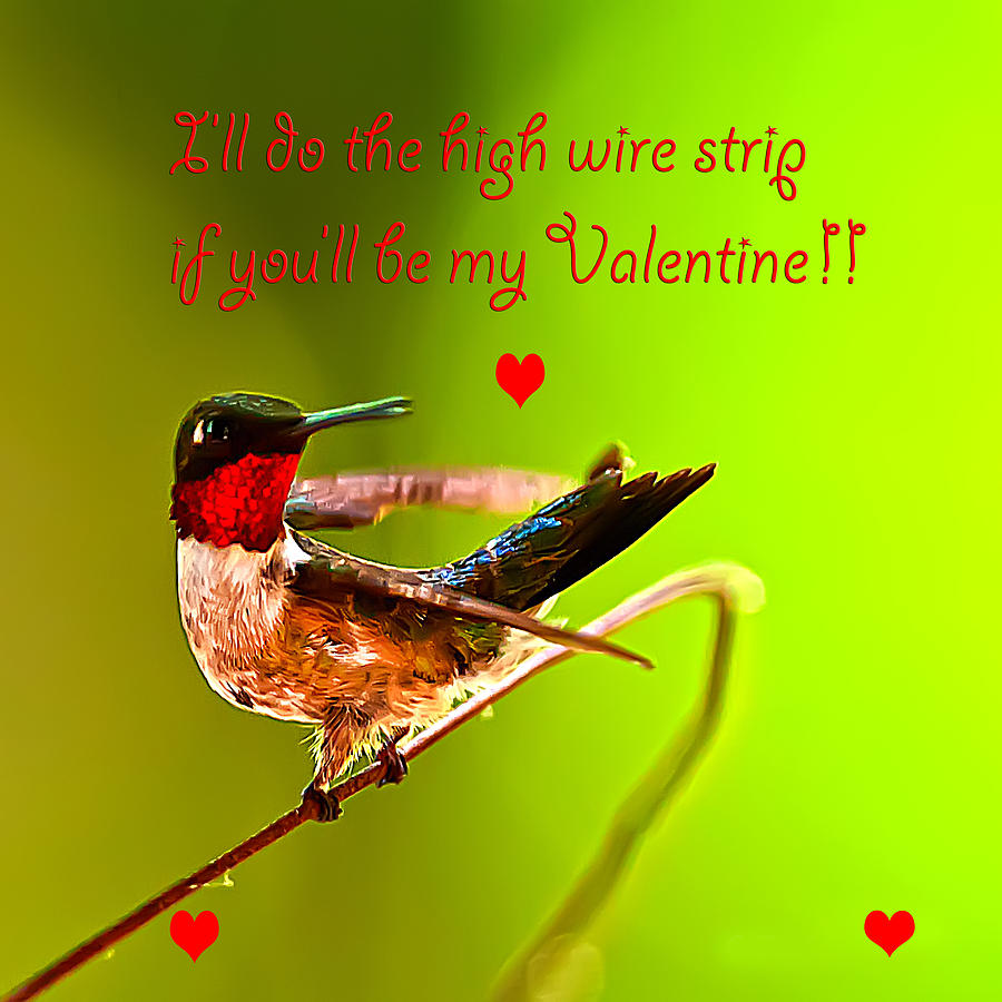 Happy Valentines Day High Wire Act Photograph by Randall Branham