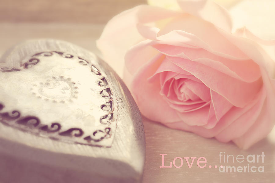 Rose Photograph - Happy Valentines Day by LHJB Photography