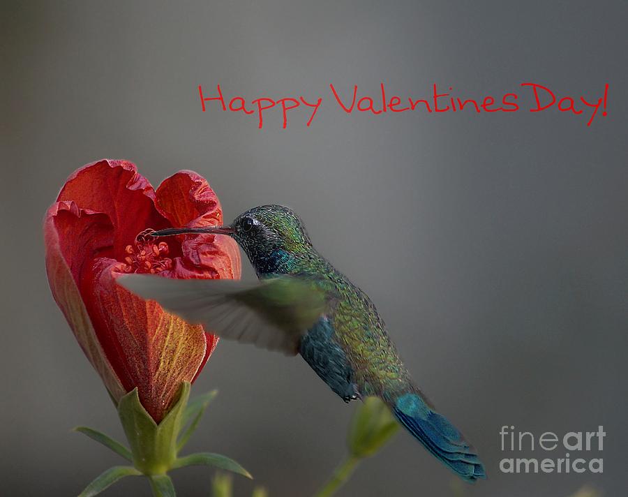 Happy Valentines Day Photograph by John  Kolenberg