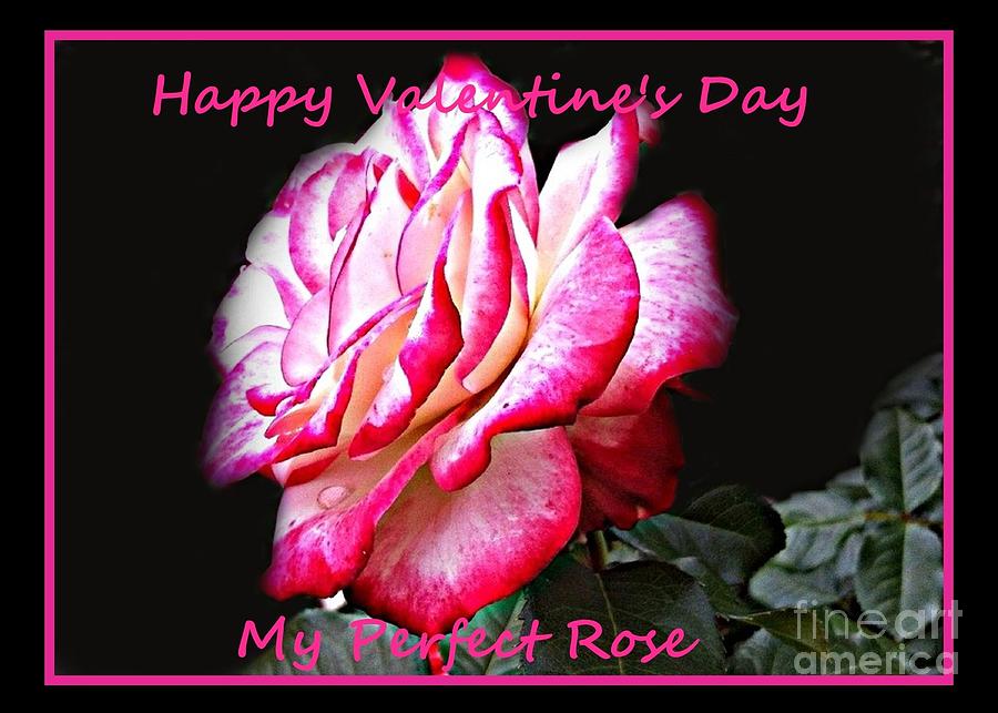 Happy Valentines Day My Perfect Rose Painting by Shelia Kempf
