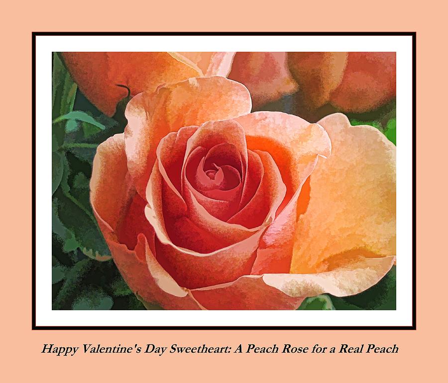 Happy Valentines Day Peach Rose Digital Art by Doug Morgan