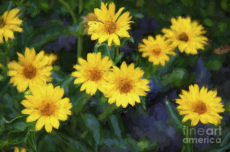 Happy Yellow Flowers Painterly Photograph by Andee Design